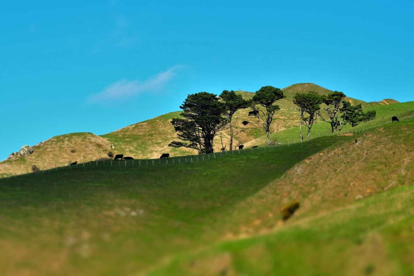 Belmont Regional Park image in wellington